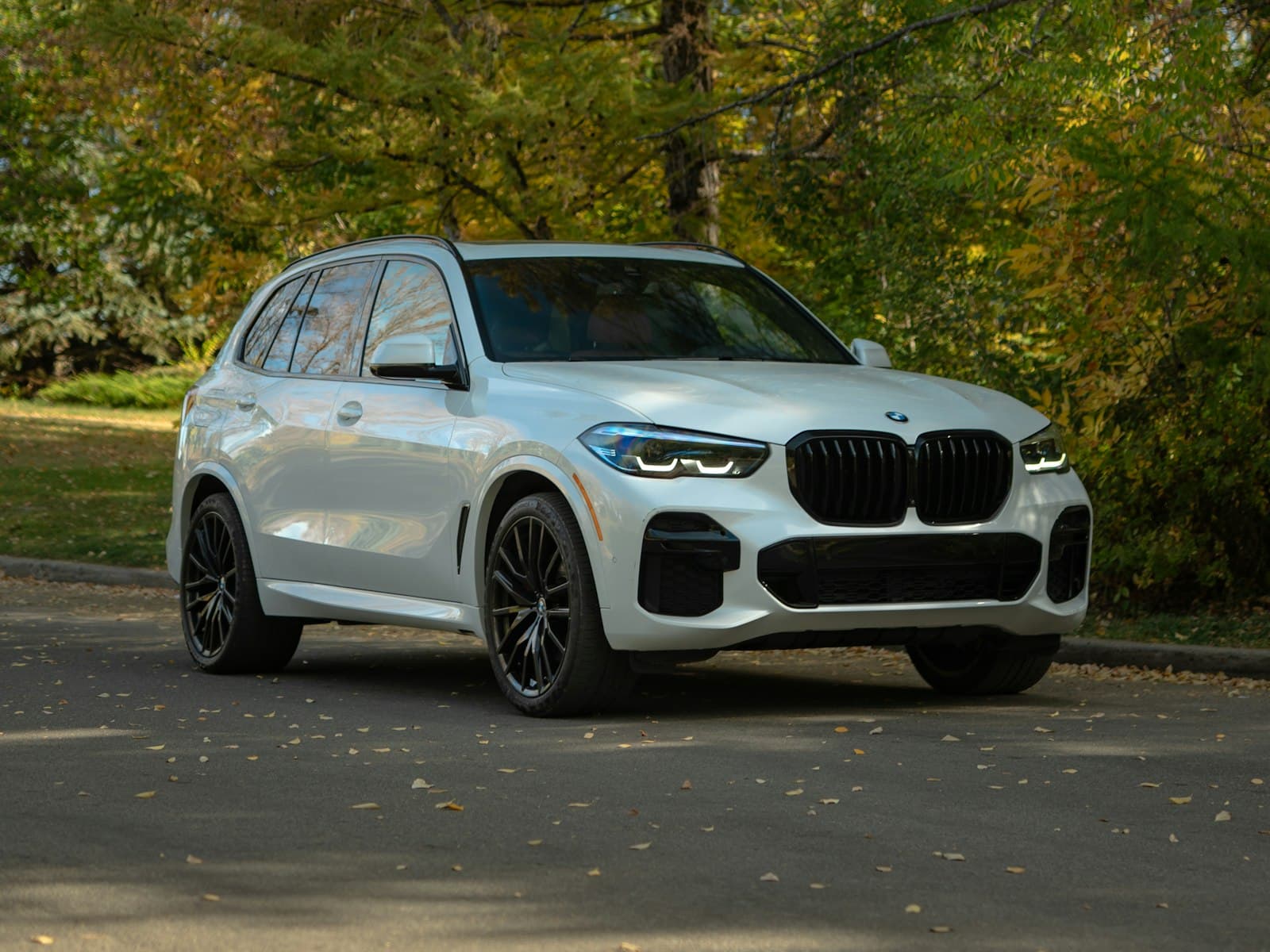 2022 BMW X5 xDrive45e in Alpine White with black wheels