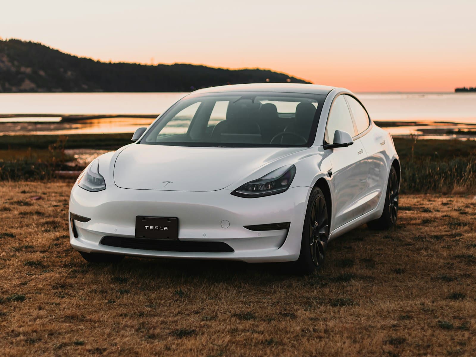 2022 Tesla Model 3 Performance in Pearl White, front view by the water